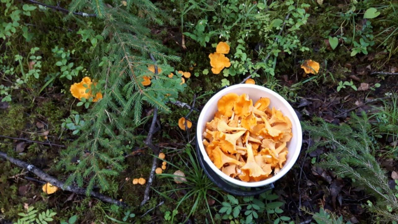 Suvituuli | Paajoen Vuokramoekit Himos Exterior foto